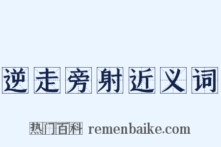 逆走旁射近义词是什么意思的图片